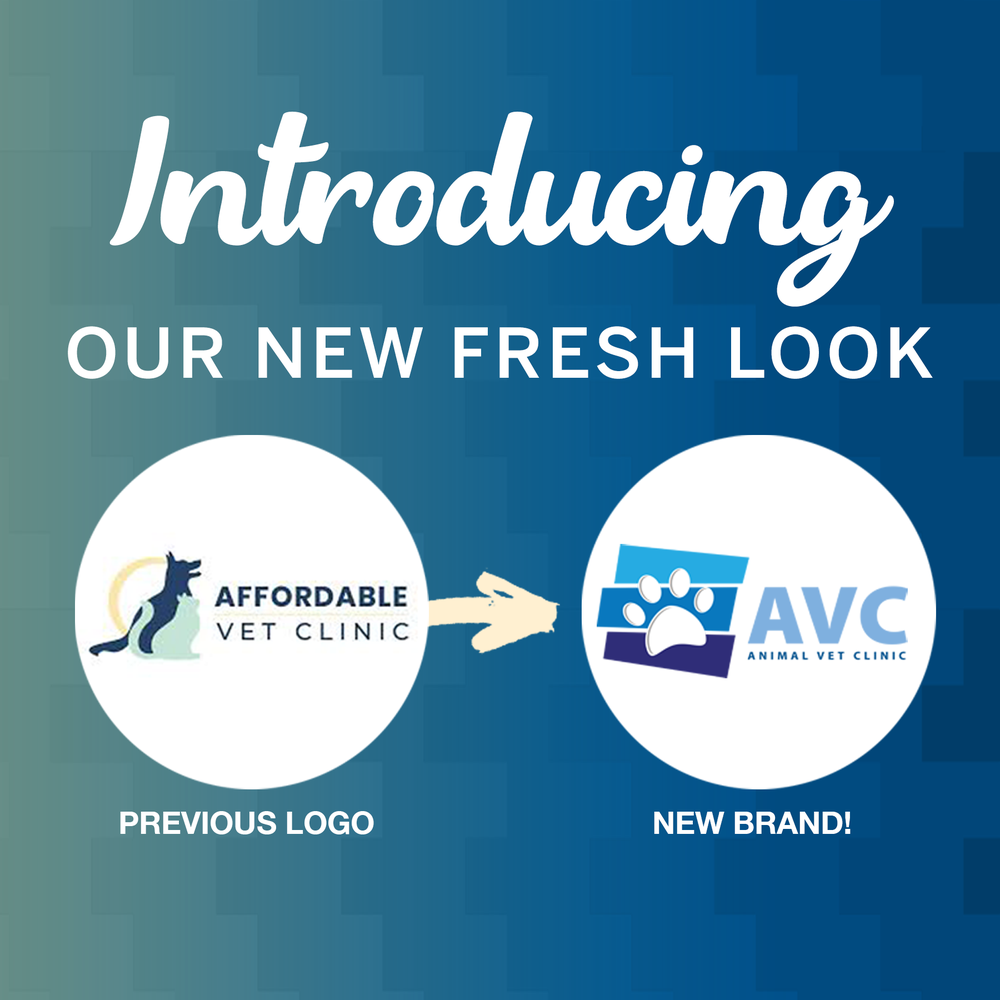 AVC - Animal Vet Clinic Image