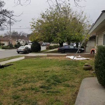 Elite Tree Care - Tree Services Near Me Elite Tree Care - Tree Services Near Me