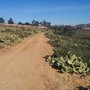Photo of Rock It at Irvine Regional Park 5-Miler/15K