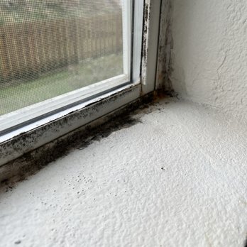 Evergreen on 47 - BLACK MOLD THAT JUST GOT PAINTED OVER - Apartments Near Me - Everett, Washington