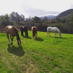 Horsemanship Academy