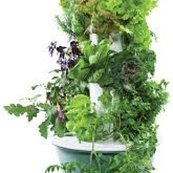 Constantly Growing - tower garden - Hydroponics Near Me - Diamond Springs, California Constantly Growing - tower garden - Hydroponics Near Me - Diamond Springs, California