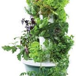 Constantly Growing - Tower garden