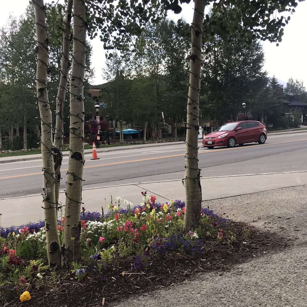 LoLo Juice - a red car driving down the road - Juice Bars & Smoothies Near Me - Breckenridge, Colorado LoLo Juice - a red car driving down the road - Juice Bars & Smoothies Near Me - Breckenridge, Colorado