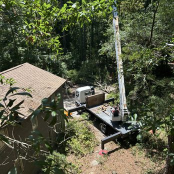 Solid Roots Tree Service - Tree Services Near Me - Wilmington, North Carolina Solid Roots Tree Service - Tree Services Near Me - Wilmington, North Carolina