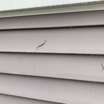 Life Restoration - Damaged siding - Roofing Near Me Life Restoration - Damaged siding - Roofing Near Me