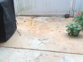 Slide of Coastal Empire Roofing And Pavement