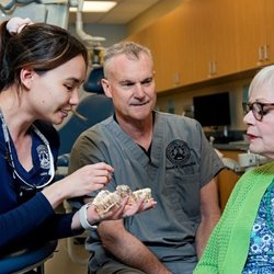Midwestern University - College of Dental Medicine-Arizona