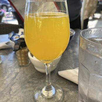 Sun Garden Cafe - Mango Bellini - Breakfast & Brunch Near Me - Sarasota, Florida Sun Garden Cafe - Mango Bellini - Breakfast & Brunch Near Me - Sarasota, Florida