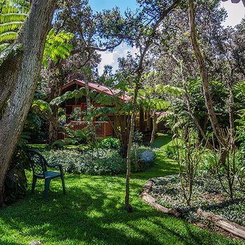 Crater Rim Cabin - Crater Rim Cabin and grounds. - Vacation Rentals Near Me - Volcano, Hawaii Crater Rim Cabin - Crater Rim Cabin and grounds. - Vacation Rentals Near Me - Volcano, Hawaii