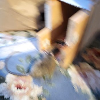 Rat Issues - Blurred it on purpose. That's a modified large snap trap. - Pest Control Near Me - Palo Alto, California Rat Issues - Blurred it on purpose. That's a modified large snap trap. - Pest Control Near Me - Palo Alto, California