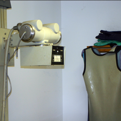 Windsor Animal Clinic