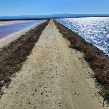 Alviso Marina County Park - Parks Near Me - Alviso, California