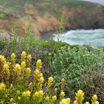 Mori Point - Hiking Near Me - Pacifica, California