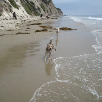 Arroyo Burro Beach - They loved it! - Beaches Near Me - Santa Barbara, California