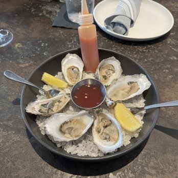 Estuary - Oysters - New American Near Me - New Port Richey, Florida Estuary - Oysters - New American Near Me - New Port Richey, Florida
