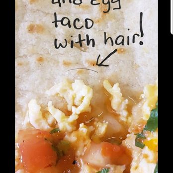 El Gallito de Jalisco - If you order food from this place make sure you bring a razor. - Mexican Near Me - San Antonio, Texas El Gallito de Jalisco - If you order food from this place make sure you bring a razor. - Mexican Near Me - San Antonio, Texas