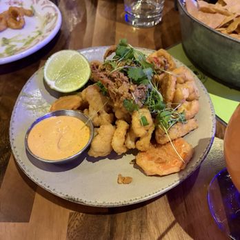 Xaco Taco - Calamari - Mexican Near Me - Providence, Rhode Island Xaco Taco - Calamari - Mexican Near Me - Providence, Rhode Island