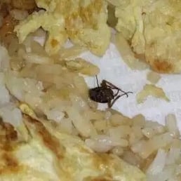 ROACH IN MY FOOD!!! They have ROACHES!!! ROACH IN MY FOOD!!! They have ROACHES!!!