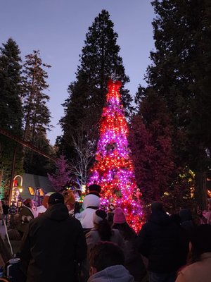 SkyPark at Santa's Village by null
