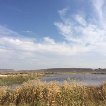Crane Hot Springs - This is the land right next to the hot springs - Resorts Near Me - Burns, Oregon