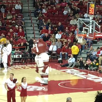 Bud Walton Arena - Stadiums & Arenas Near Me - Fayetteville, Arkansas Bud Walton Arena - Stadiums & Arenas Near Me - Fayetteville, Arkansas
