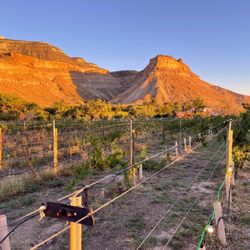 Colterris Winery - Gorgeous view at the winery