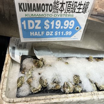 Sf Supermarket - a pile of oysters on ice - International Grocery Near Me - Elmhurst, New York Sf Supermarket - a pile of oysters on ice - International Grocery Near Me - Elmhurst, New York