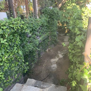 Cali Landscaping - After! - Landscaping Near Me - La Habra Heights, California Cali Landscaping - After! - Landscaping Near Me - La Habra Heights, California