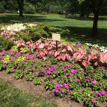 Sherwood Gardens - Island of caladiums! - Parks Near Me - Baltimore, Maryland