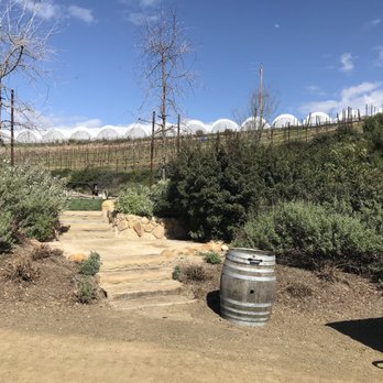 Artisan Excursion Wine Tours - Transportation Near Me Artisan Excursion Wine Tours - Transportation Near Me