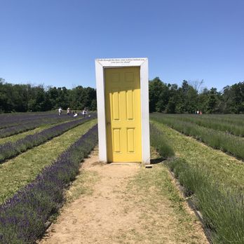 Terre Bleu - Instagram worthy yellow door - Farms Near Me - Elora, Ontario