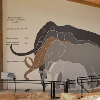 The Mammoth Site - Museums Near Me - Hot Springs, South Dakota The Mammoth Site - Museums Near Me - Hot Springs, South Dakota