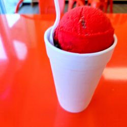 Mango Frozen Snacks - Italian Ice!