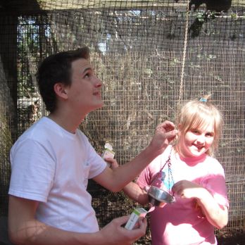 Monkey Jungle - Monkey Jungle in Miami Florida - Zoos Near Me - Miami, Florida