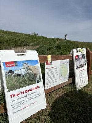 Nose Hill Park by null