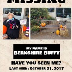 Berkshire Hathaway HomeServices Michigan Real Estate - Help us locate Berkshire Buffy!