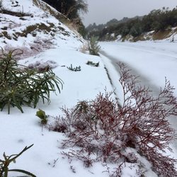 Parque Nacional Sierra de San Pedro Martir