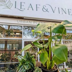 Healthy happy plants!