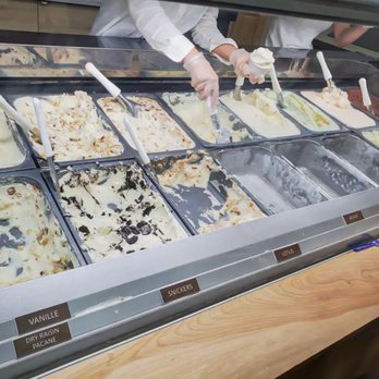 Bouza - a variety of ice creams in a display case - Ice Cream & Frozen Yogurt Near Me - Laval, Quebec