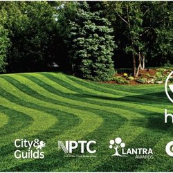 Sewell Hammonds Grounds Maintenance