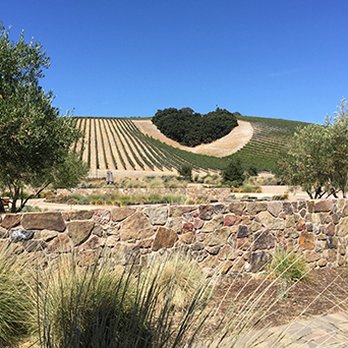 Niner Wine Estates - Niner has incorporated a heart into the landscaping that's visible from the main entrance and the restaurant. Awwww... - Wine Tasting Room Near Me - Paso Robles, California Niner Wine Estates - Niner has incorporated a heart into the landscaping that's visible from the main entrance and the restaurant. Awwww... - Wine Tasting Room Near Me - Paso Robles, California