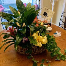 Beautiful display. Nice order. Much appreciated!
