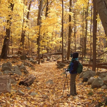 Kakiat County Park - The White trail from Kakiat Park. - Dog Parks Near Me - Suffern, New York