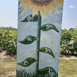 Sunflowers of Sanborn - Cute art