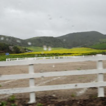 Norwegian Grade - Winter rains green the hills, and give rise to mustard plants. - Local Flavor Near Me - Thousand Oaks, California Norwegian Grade - Winter rains green the hills, and give rise to mustard plants. - Local Flavor Near Me - Thousand Oaks, California