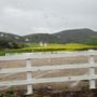 Photo of Norwegian Grade