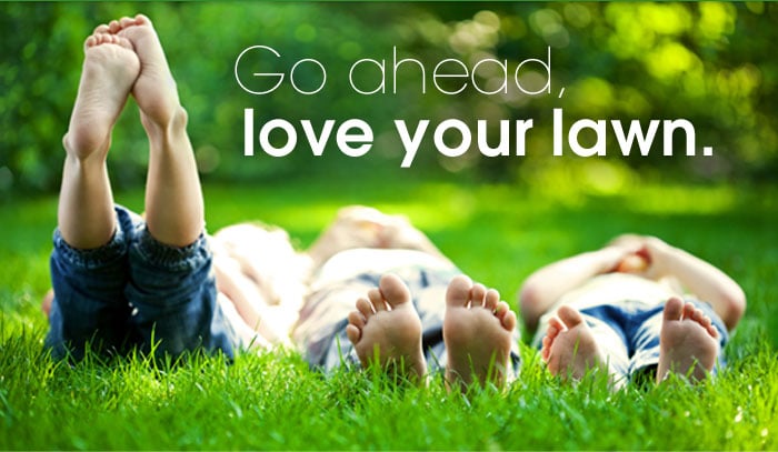 Top Lawn Care & Landscapes - veterans service organization in Greece, NY