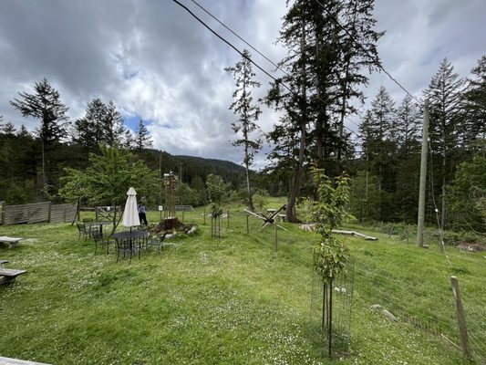 Salt Spring Island Cheese by null