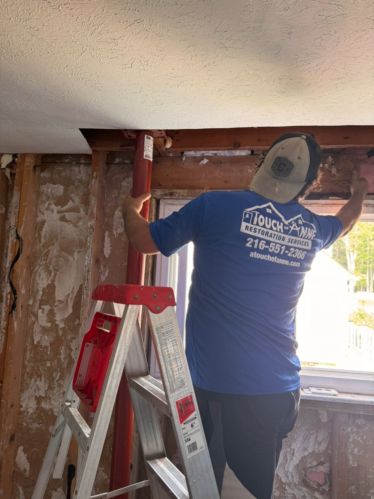 Slide of A Touch of Anne Restoration & Cleaning